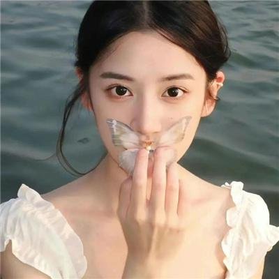 神龙帕夫